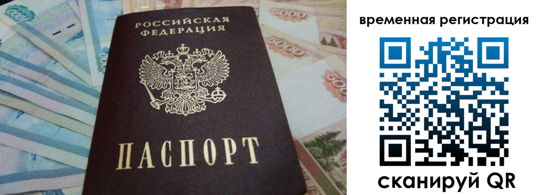 временная регистрация гарантия в Карабаново